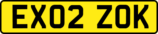 EX02ZOK