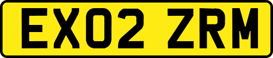 EX02ZRM