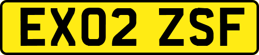 EX02ZSF