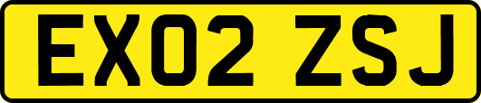 EX02ZSJ