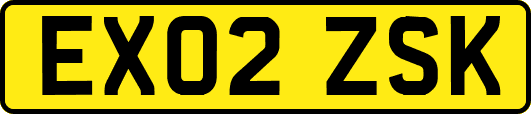 EX02ZSK