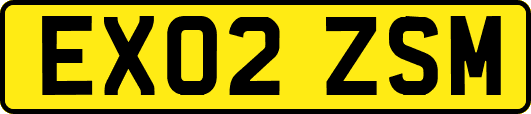 EX02ZSM