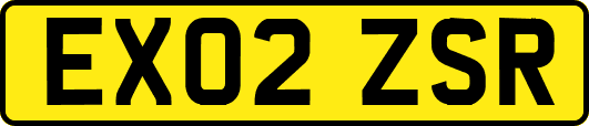 EX02ZSR