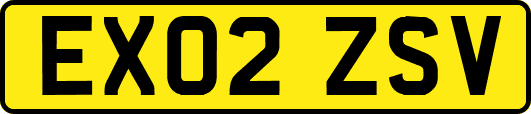 EX02ZSV