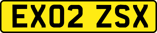 EX02ZSX