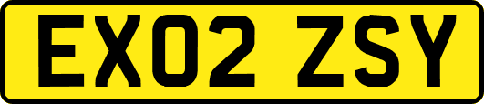 EX02ZSY