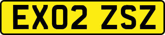 EX02ZSZ