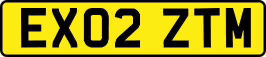 EX02ZTM