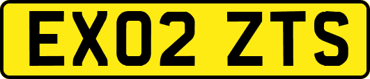 EX02ZTS