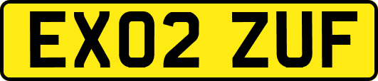 EX02ZUF
