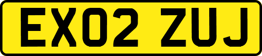 EX02ZUJ