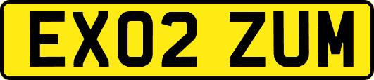 EX02ZUM