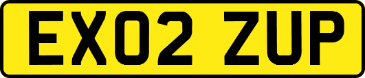 EX02ZUP