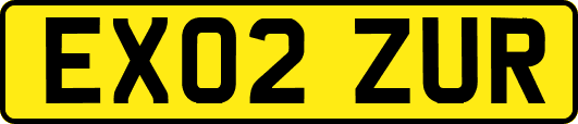 EX02ZUR