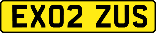 EX02ZUS