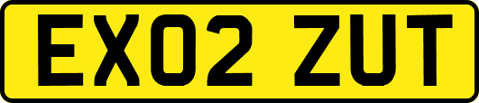 EX02ZUT