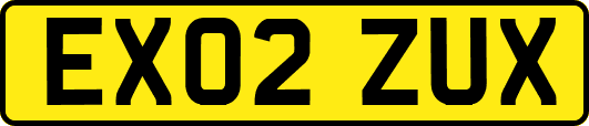 EX02ZUX