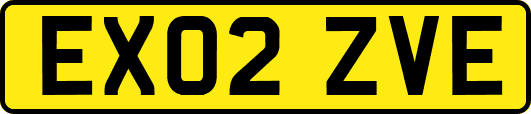EX02ZVE