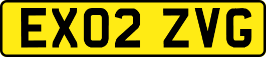 EX02ZVG