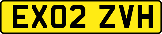 EX02ZVH