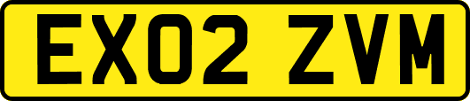 EX02ZVM