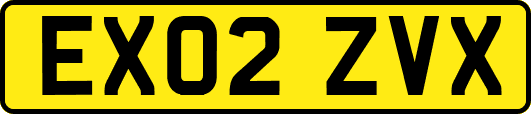 EX02ZVX