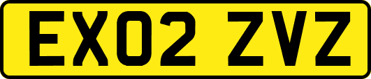 EX02ZVZ