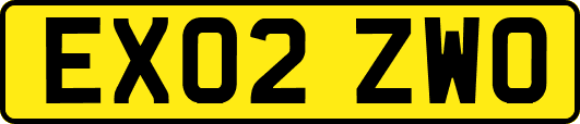 EX02ZWO