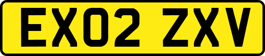 EX02ZXV