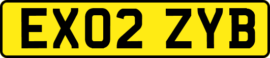 EX02ZYB
