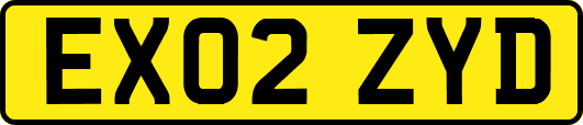 EX02ZYD