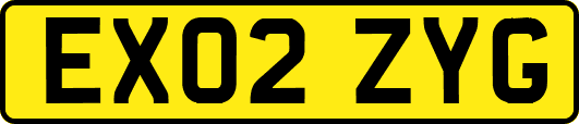 EX02ZYG