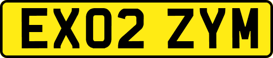 EX02ZYM