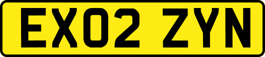 EX02ZYN