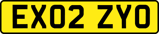 EX02ZYO