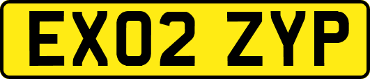 EX02ZYP