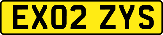 EX02ZYS