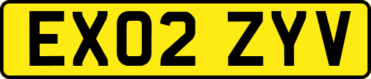 EX02ZYV