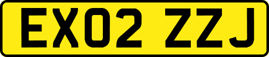 EX02ZZJ
