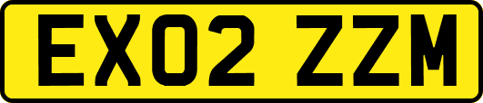 EX02ZZM
