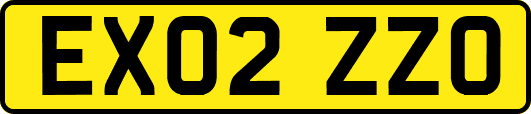 EX02ZZO