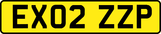 EX02ZZP