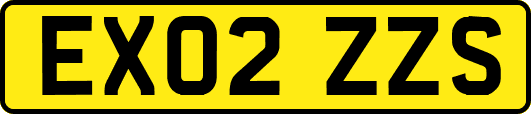 EX02ZZS
