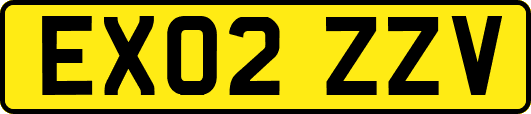EX02ZZV