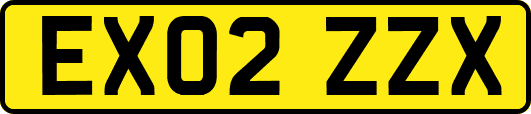 EX02ZZX