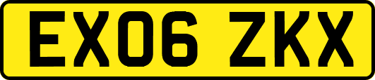 EX06ZKX