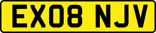 EX08NJV