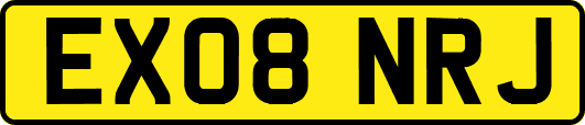 EX08NRJ