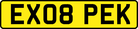 EX08PEK