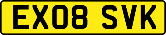 EX08SVK